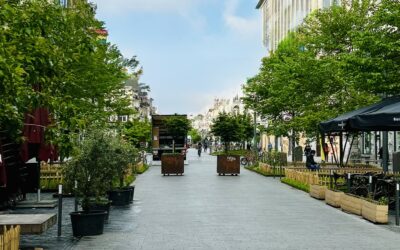 Le Plan Terrasse : les règles pour une ville harmonieuse